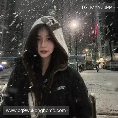 嵇蒙飚